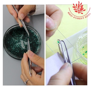 Diapositivas preparadas para la ciencia médica, un juego de 17 tipos de toboganes de algas, diferentes tipos de algas de secciones, toboganes preparados de Botánica de algas - Product Image 6