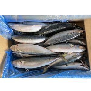 ปลาแมคเคอเรลแช่แข็งจากประเทศจีน - Product Image 4