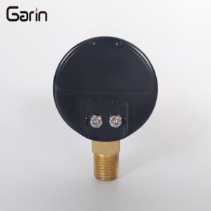 फैक्टरी प्रत्यक्ष बिक्री 16बार 230psi डायल 50 मिमी डबल स्केल बॉटम एयर प्रेशर गेज - Product Image 2