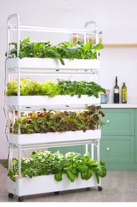 Home Use Irrigation Hydroponics Equipment for Home Use - Product Image 4
