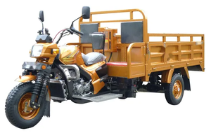 รถจักรยานยนต์สามล้อที่ใช้เชื้อเพลิง250cc รถสามล้อขนาดเล็ก - Product Image 3