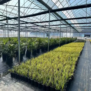 Malla Antihierbas Resistente a los Rayos UV, Ecológica, Resistente a Desgarros, Permeable y Duradera, Tela para Jardinería y Paisajismo con Servicio de Corte - Product Image 5