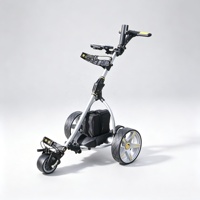 Chariot de golf électrique et télécommandé avec système de moteur double silencieux, best-seller en Europe, batterie au acide ou au lithium en option