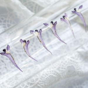 Especímenes de <span class=keywords><strong>flores</strong></span> de <span class=keywords><strong>Corydalis</strong></span> Decumbens prensadas secas reales naturales <span class=keywords><strong>Flores</strong></span> de plantas para arte epoxi festivo San Valentín Navidad Pascua - Product Image 3