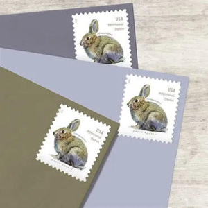 Etiquetas Adhesivas de Sellos Postales con Estampado en Relieve Ecológicas y Duraderas con Diseño de Banderas de Estados Unidos 2022, con Protección Antifalsificación para Promoción y Embalaje - Product Image 2