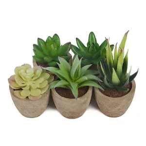 Amazon Hot Sale Small Artificial Potted Live Mini Bonsai Plant Succulent for Office Decor