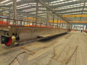 Solución de manipulación de materiales de almacén grúa de viaje eléctrica de una sola viga CE - Product Image 5