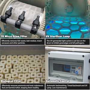 Cowater Koi Étang <span class=keywords><strong>Filtre</strong></span> Systèmes Paysage Fish Pool Aquarium <span class=keywords><strong>Lampe</strong></span> <span class=keywords><strong>UV</strong></span> et Tambour <span class=keywords><strong>Filtre</strong></span> Multiple Bio Media Chambre 220V Pompe Moteur - Product Image 4