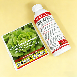 Etichette personalizzate in vinile resistente all'olio per pesticidi vegetali TEDDY, soluzioni, frutta e semi, con stampa CMYK e lamina oro - Product Image 2