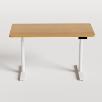 Bureau debout ergonomique réglable électrique à double moteur de luxe et moderne – Bureau électrique robuste à hauteur réglable pour le bureau, la maison et la zone de jeu