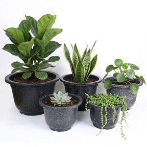 OEM ODM Custom Logo Black <b>White</b> Speckle PP <b>Plant</b> <b>Pot</b> 9 Sizes Lightweight Alternative to Ceramic for Hotel Project - Product Image 1