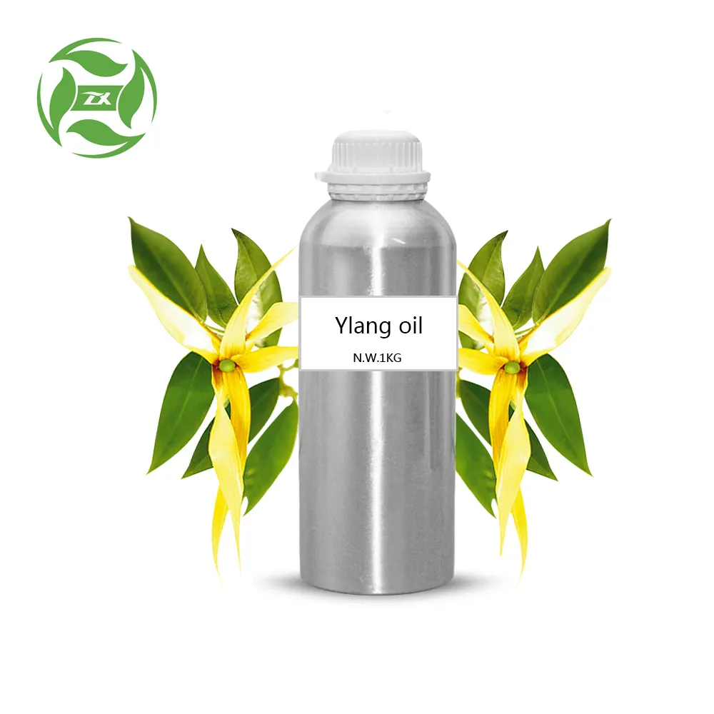 Ylang Ylang Olie Cananga Odorata Voor Cosmetica En Parfumerie Gebruik Bulk Leverancier Op Redelijke Prijs Uit China