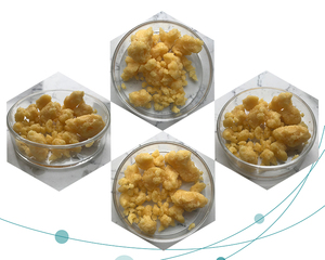 Hướng Dương trứng lòng đỏ chiết xuất đậu nành phosphatidyl cholines - Product Image 6