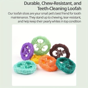ของเล่นใยบวบธรรมชาติสำหรับสัตว์เลี้ยง ช่วยทำความสะอาดฟัน สำหรับนกแก้ว แฮมสเตอร์ แมว และสุนัข ขนมขบเคี้ยว ของเล่นเคี้ยวเล่น ใยบวบหั่นเป็นชิ้น - Product Image 5