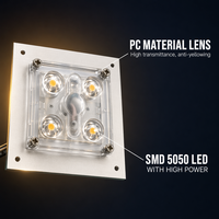 Module d'éclairage LED extérieur étanche IP65 10W 75x75mm en aluminium pour allées de jardin