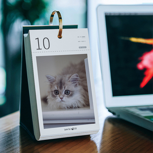 Personalizza il calendario per gatti 2022 <span class=keywords><strong>365</strong></span> giorni al giorno un calendario da scrivania ad anello singolo Cat Cloud Cat - Product Image 4