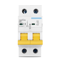 Disjoncteur 2P DC 600V, courbe C, unipolaire, fusible à courant continu pour PV