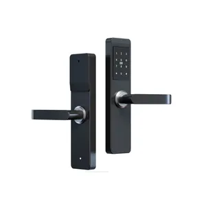 Ev gömme mandalı kapılar kilitleri kolu ve tuşları TTlock smartlock sürgü güvenlik dool silindir oem topuzu kod kartı