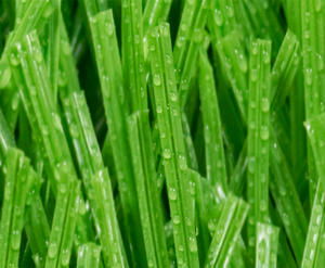 Chất lượng cao ngoài trời 40 mét CuộN bóng đá Mat màu xanh lá cây bóng đá lĩnh vực tổng hợp nhân tạo Turf thảm cỏ - Product Image 2