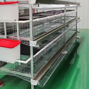 Jaulas para Pollos Tipo H, Jaula para Gallos Moderna, Gallinero Automático para Gallinas Ponedoras - Product Image 1
