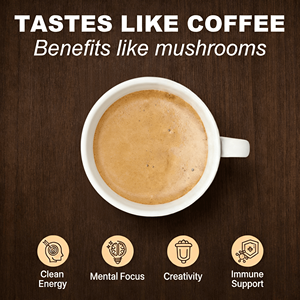 Caffè in Polvere Biologico 7 in 1 con Funghi <span class=keywords><strong>Reishi</strong></span> e Criniera di Leone - Supporto Immunitario Istantaneo per Adulti, Etichetta Privata OEM - Product Image 3