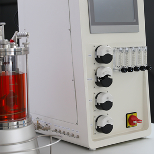 Biorreactor de fermentación de vidrio Biorreactor de levadura de 5L con sensor de temperatura de PH - Product Image 5