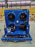 Réfrigération industrielle Danfoss MTZ160 13.5HP Allemagne compresseur refroidi par air unité de condensation équipement de réfrigération pour le refroidissement