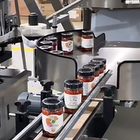 Ligne de remplissage automatique de mayonnaise avec technologie de bouchage sous vide et d'étiquetage