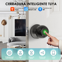 Serrure Intelligente à Cylindre avec Contrôle par Application Tuya, Empreinte Digitale, Aluminium, Porte en Bois/Aluminium, Entrée sans Clé, Système de Sécurité Domestique Intelligent, Serrure Intelligente