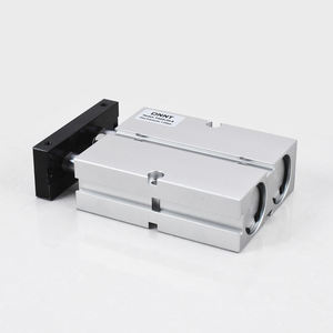 Airtac Tipo TN Cilindro de doble varilla 10 16 20 25 32 Cilindros de aire de varilla doble de doble eje Cilindro neumático de varilla Doble - Product Image 3