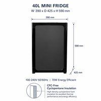 Mini Nevera Eléctrica Portátil de Lujo de 40 Litros, Eficiente, con Certificación ETL, Puerta Sólida, Ideal para Hoteles