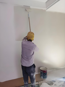 Apprêt extérieur anti-alcalin à base d'eau pour peinture murale sur béton/brique, résistant aux intempéries - Product Image 4