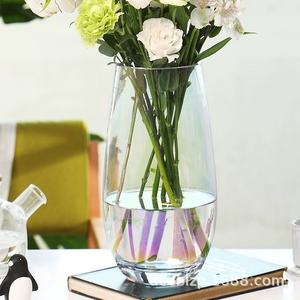 Vaso di cristallo moderno semplice in stile Ins per la casa arredamento morbido vaso di fiori ad alta trasparenza - Product Image 4