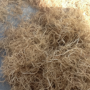 Fertilizante AquaRevive Gracilaria: Mezcla de Algas Orgánicas para Plantas Prósperas - Jardines Más Verdes - Product Image 1