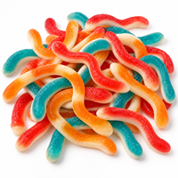 Bonbons Gommeux Personnalisés en Forme de Serpent Halal pour Enfants, Bonbons Végétaliens en Gros, Fournisseur Chinois de Bonbons Gommeux