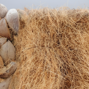 Fibre de noix de coco naturelle de haute qualité pour matelas brosses cordes tapis de culture paillis fibre de coco vente en gros de l'Inde - Product Image 1