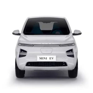 Xe Điện MINI EV -2 Mini Đã Qua Sử Dụng Giá Xuất Xưởng Trong Kho