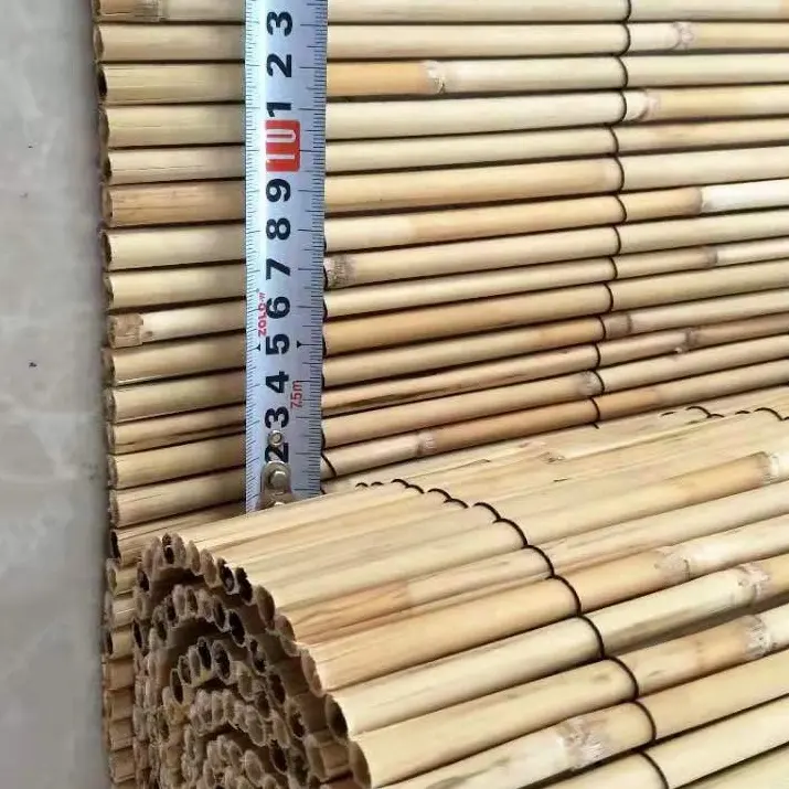 en boîte Naturel Bambou Canes Bâton Résistant Haute Qualité environ 0.61 m Bambou Canes 2 FT 