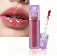 Brillant à lèvres longue durée Vegan imperméable minéral brillant brillant à lèvres finition brillante liquide rouge à lèvres végétalien cosmétiques maquillage