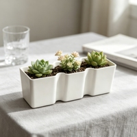Pots à plantes succulentes, pots de pépinière en plastique pour cactus, petites plantes, décoration de bureau à domicile