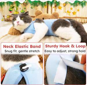 QQgift 2025 새로운 럭셔리 부드러운 통기성 애완 동물 바디 수트 <span class=keywords><strong>E</strong></span>-칼라 콘 대안 OEM 사용자 정의 로고 복구 세트 고양이 수술 - Product Image 2