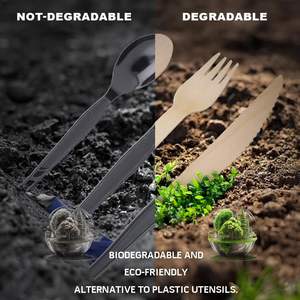 Juego de Cubiertos Desechables de Madera Biodegradable Ecológico, Venta al por Mayor para Restaurantes y Fiestas - Product Image 6