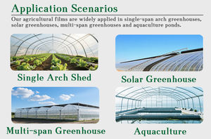抗菌200ミクロンPOプラスチックフィルムUV耐性クリアポリアンチドロップ農業用温室フィルム - Product Image 3