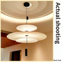 Lustre Flamant Rose de Chine Continentale, Lampe de Table pour Restaurant, Lampe de Bar Designer, Art Soucoupe Volante, Nouveau Style, Installation pour Projet, LED Ra97