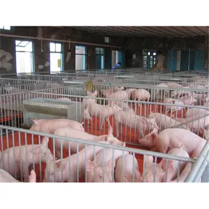 Lợn trang trại chăn nuôi equipements điều dưỡng thùng cho heo con