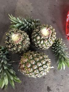 Cortador de Verduras Multifuncional, Trituradora de Yuca, Trituradora de Tomates, Máquina Exprimidora de Frutas Multifuncional - Product Image 5