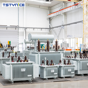 Máy biến áp ba pha MV & HV Tstynice dầu-đắm điện biến áp 1000kva đến 1600kva 11kv đến <span class=keywords><strong>400V</strong></span> - Product Image 3