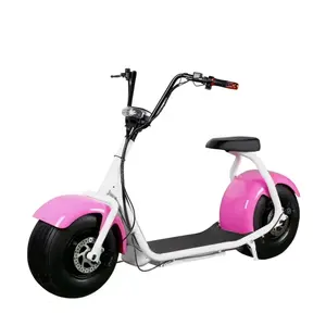 2024 nuevo estilo 2 ruedas Scooter Eléctrico Chopper 1500W 60V bicicleta eléctrica Scooter Dual Motor Off Road E Scooter