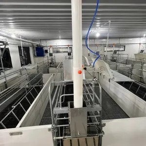 High Quality Pig farm equipment stall system farrowing pig farrowing Hot-dip galvanized 2-door design made in Viet Nam