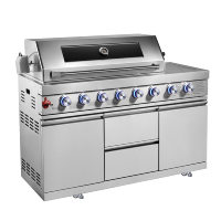 Barbecue portable à gaz 6 brûleurs en acier inoxydable 304 avec allumage électronique par impulsion, idéal pour les événements en plein air et les fêtes dans la cour, en métal.
